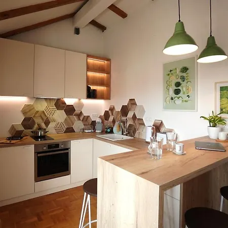 Modern Loft With Balcony In The Heart Of Appartement *